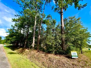 3 Tampa Dr N, Pearlington, MS 39572