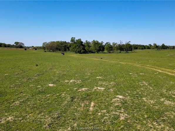 LOT 5 County Road 234, Milano, TX 76556