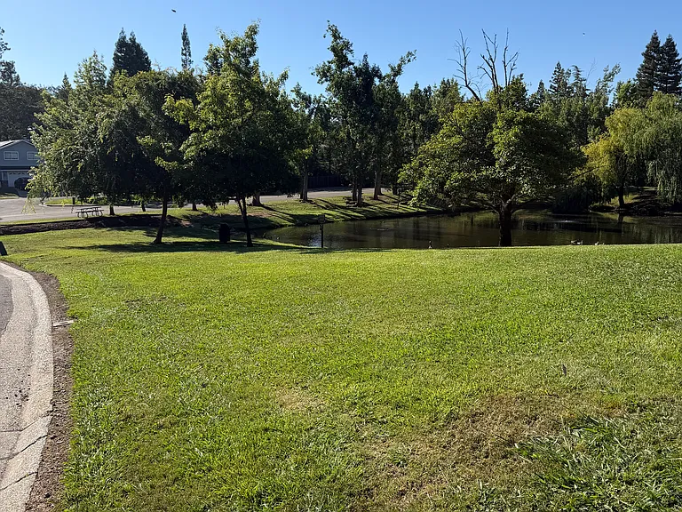 Governors Park across the street