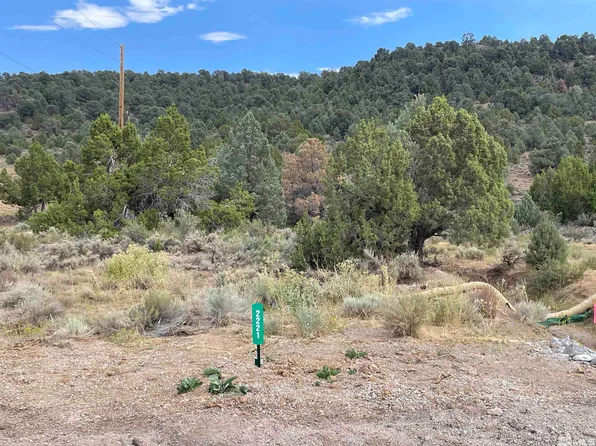 2221 Lousetown Rd, Reno, NV 89521