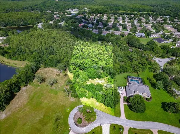 19003 Deer Point Pl, Odessa, FL 33556