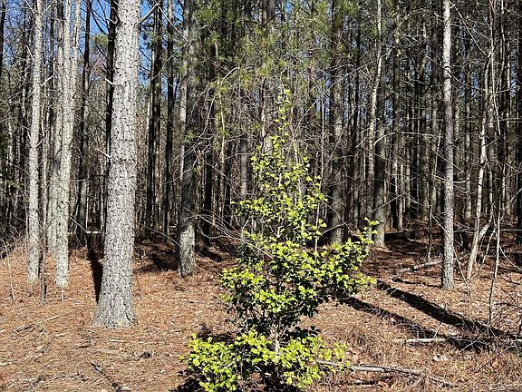 4th image of 4210 Raulston Falls Rd #118