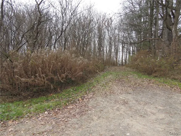 7390 State Route 29, Dolgeville, NY 13329