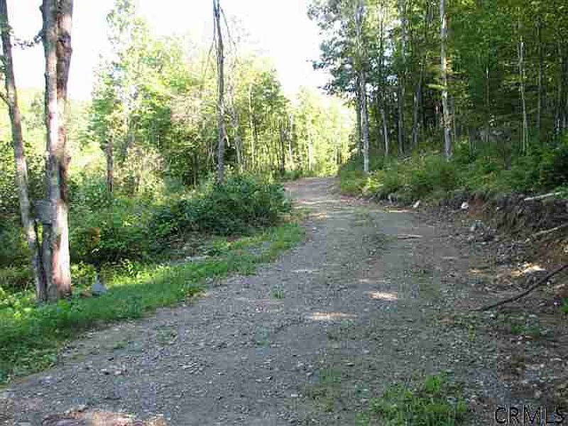2nd image of 0 HALLS POND Road