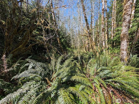 4th image of 999 Hoh River Park Drive