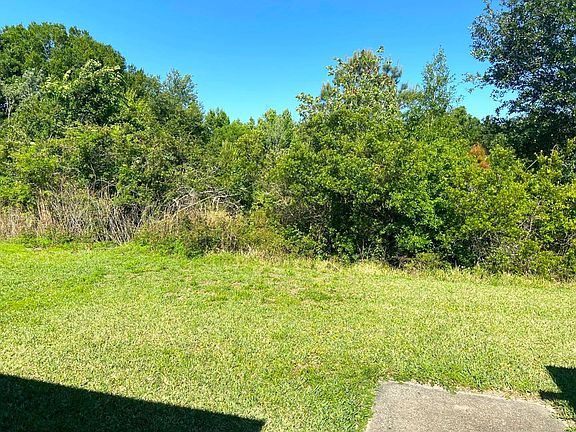 3rd image of 1126 Holly Hill Dr
