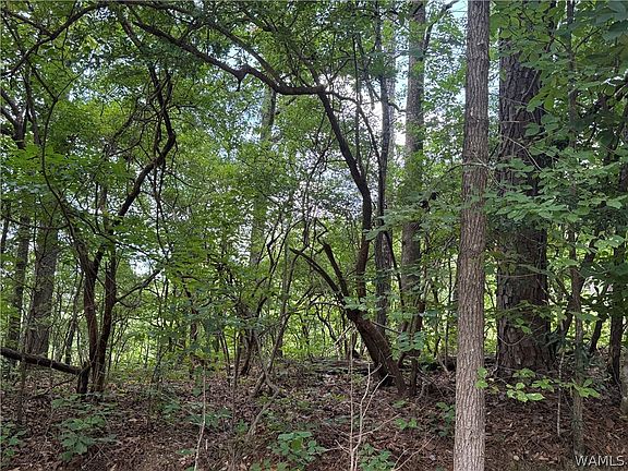 4th image of 0 Rehobeth Rd