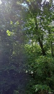 10674 Gildea Rd, Potosi, MO, 63664