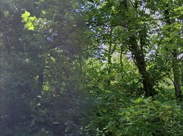 10674 Gildea Rd, Potosi, MO 63664