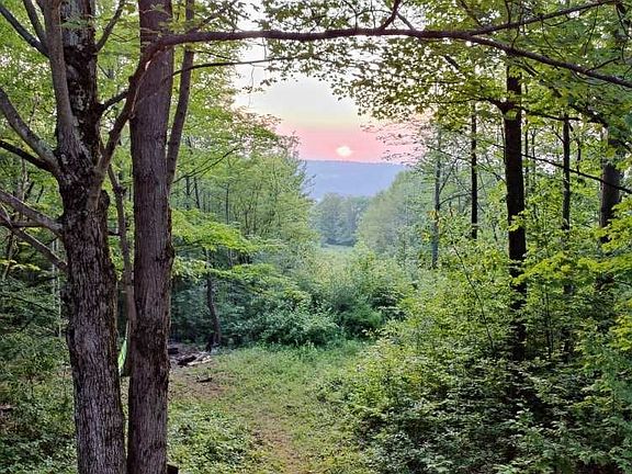 5th image of 9797 White Meeting House Rd Lot 15