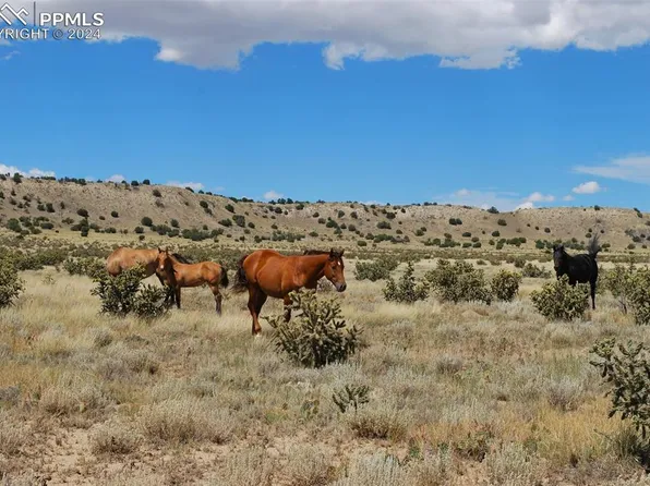 County Road 64 8, Model, CO 81059