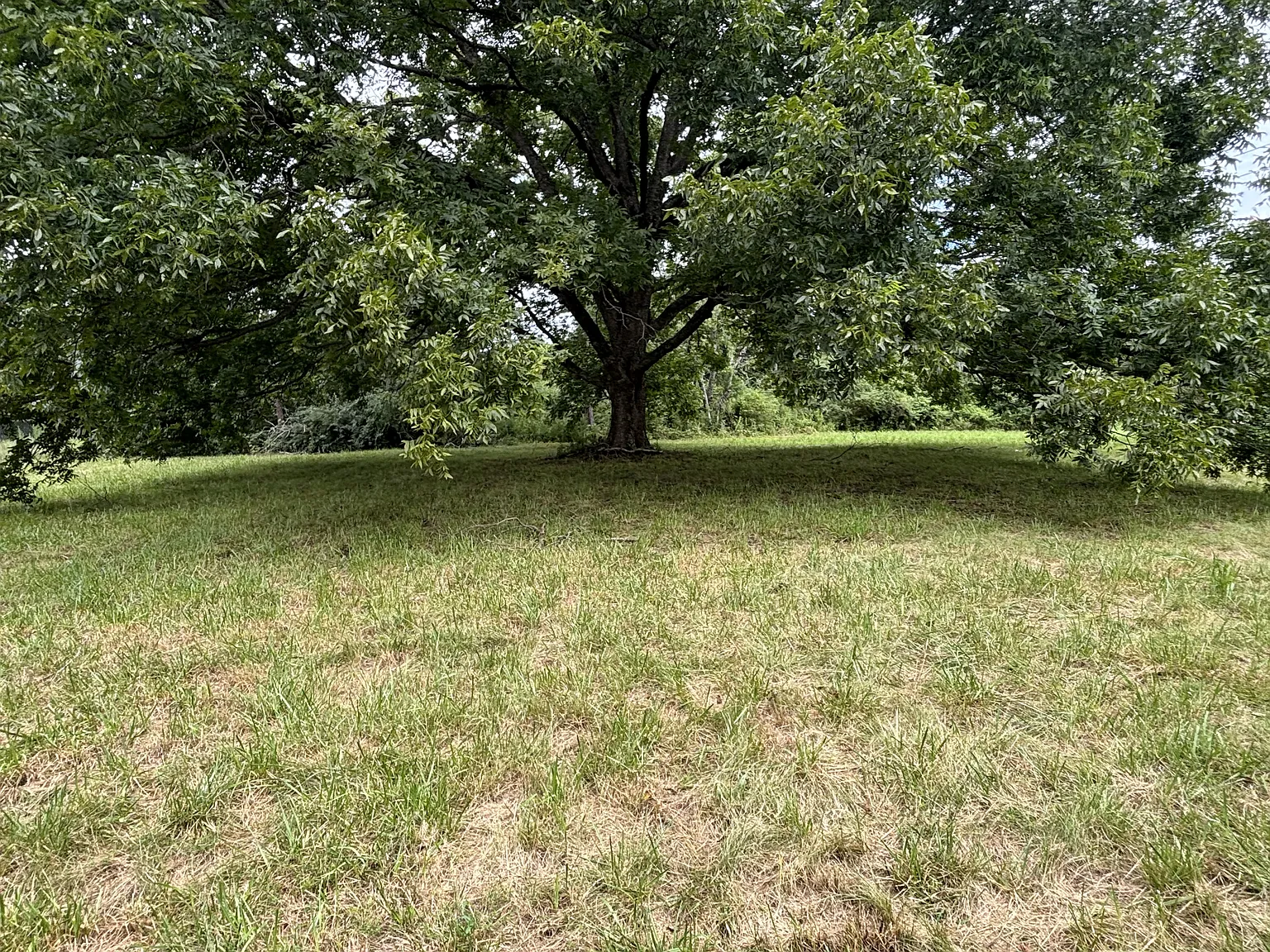 2102 Providence Road South - 1 — Photo 4