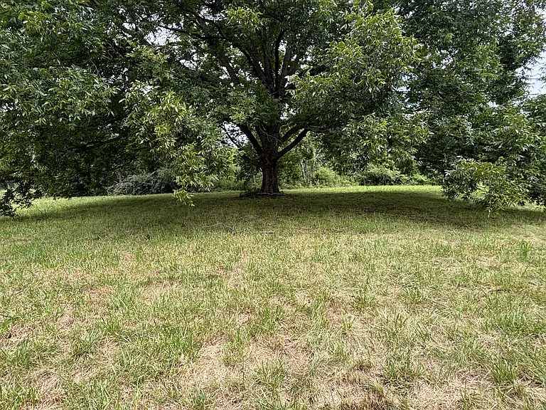 2102 S Providence Rd — Photo 4