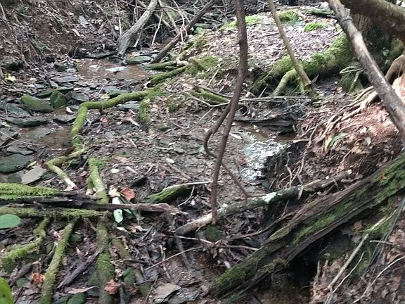 Stream bordering property