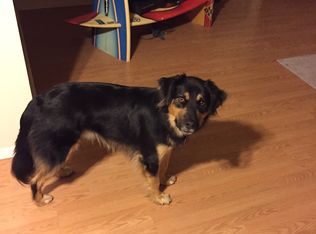 24591 Bridger Rd, Lake Forest, CA 92630