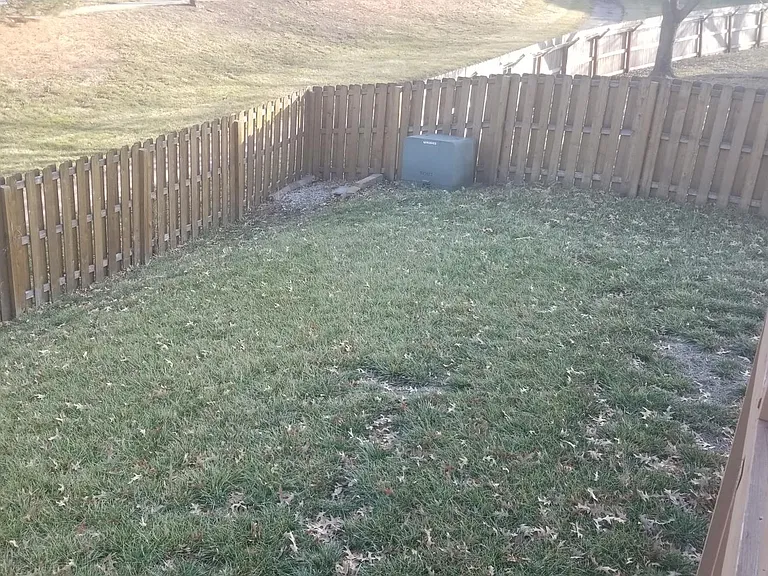 Backyard #4.