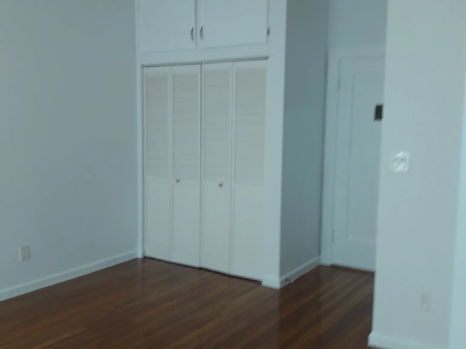Studio, 425 sqft, $1,325 — Photo 3