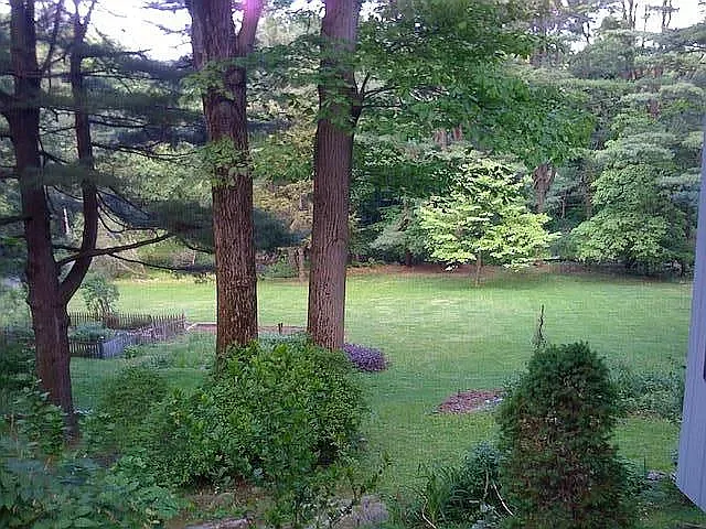35 Saxon Woods Rd #1 — Photo 14