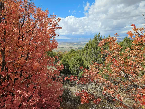 30 E Elk Springs Dr S, Fairview, UT 84629