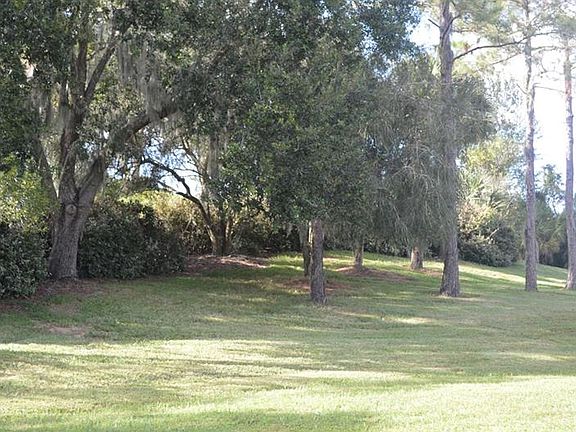5th image of 10234 Devonshire Lake Dr