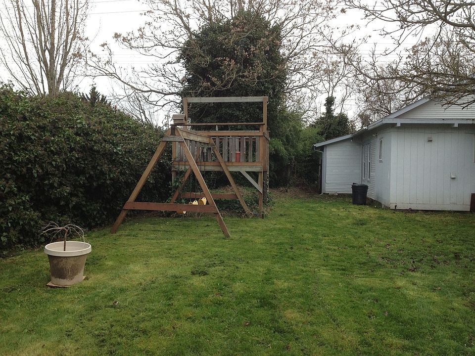 Back yard