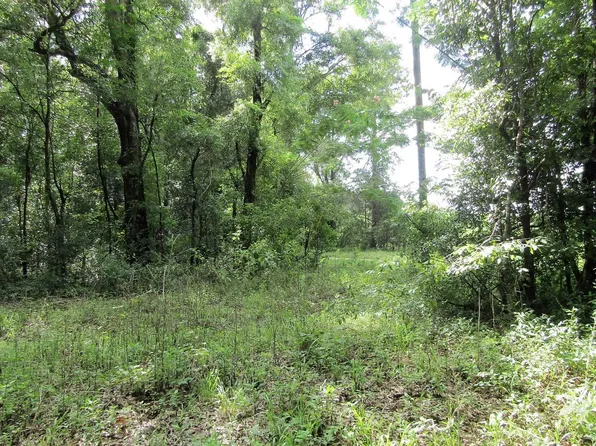 165th Pl, Live Oak, FL 32060