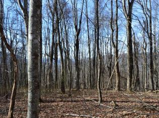Tbd Clarktown, Unicoi, TN 37692