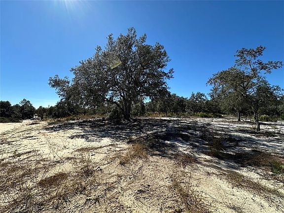 4th image of NE 100th Ave