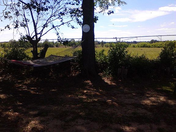 3rd image of 7732 Big Oak Dr