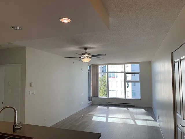 Celadon 1503 — Photo 3
