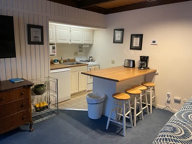Studio, 451 sqft, $1,800 — Photo 3
