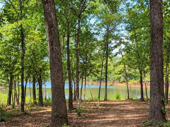 10/10A Fishermans Bay Private Rd, Quitman, TX 75783