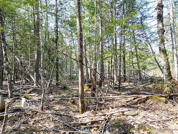 4th image of Lot 2 Off Mattamiscontis Road