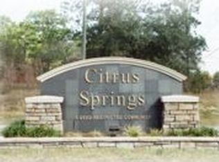 336 W Glenhaven Dr, Citrus Springs, FL 34434