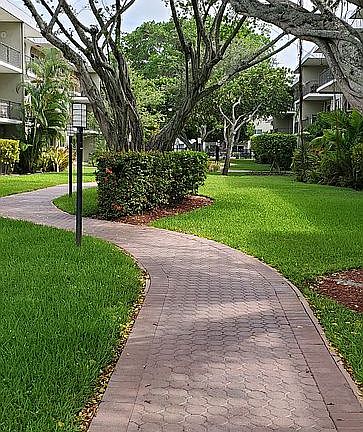 Lush canopied courtyard 