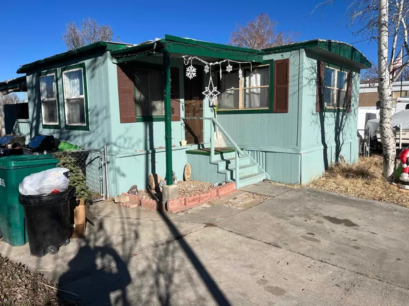 1401 Aquarius Ave, Fruita, CO 81521