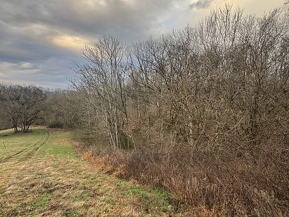 5th image of 4094 Akin Ridge Rd Lot 1-4B