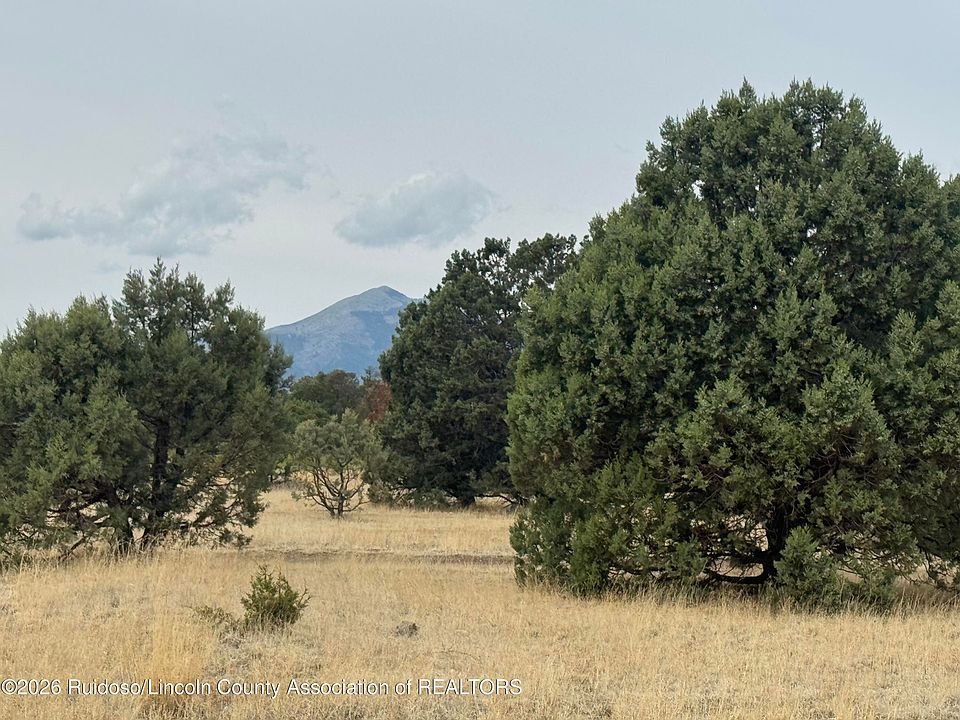 1st image of LOT-35B Gary Player Ct