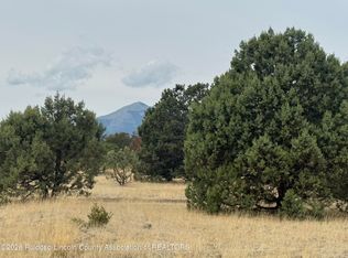 LOT-35B Gary Player Ct, Alto, NM 88312