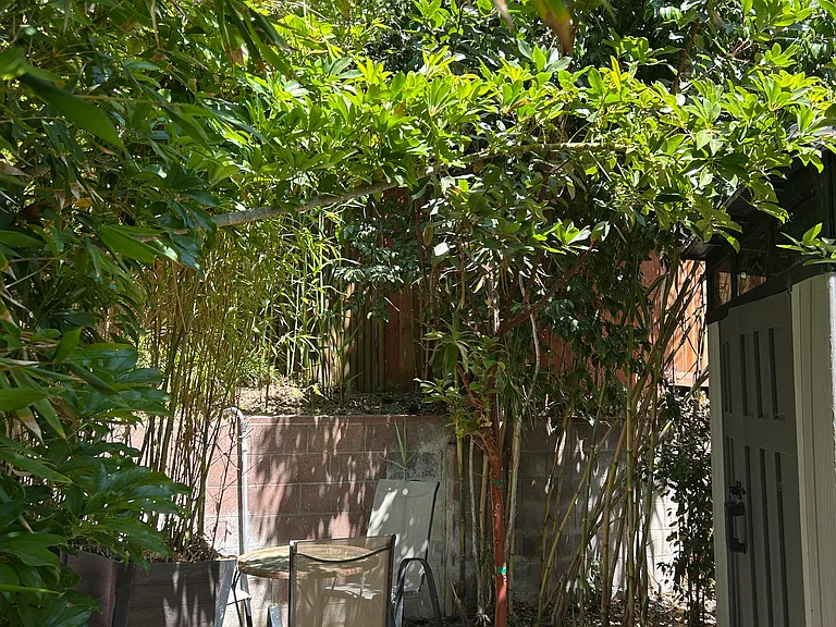 107 Naomi Ave — Photo 23