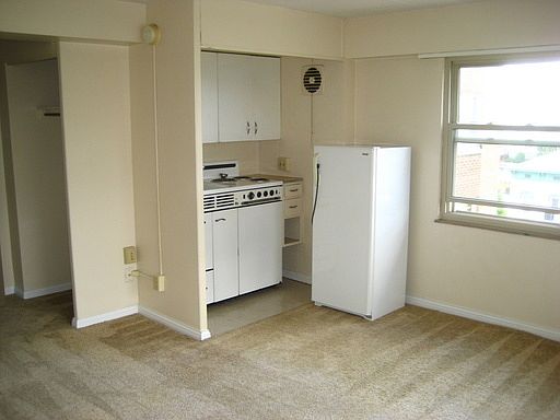 4th image of 530 W Berry St APT 610