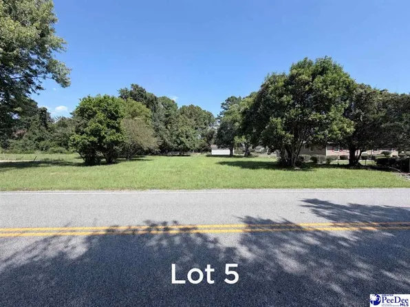 609 E Sam Harrell Rd, Florence, SC 29506