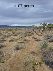 327-07-392 SADDLE Drive, Dolan Springs, AZ, 86441