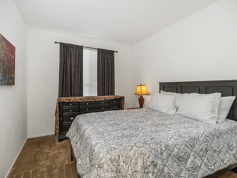 30312 Carob Tree Cir — Photo 22