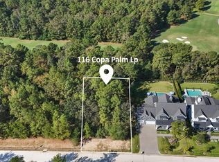 116 W Copa Palm Loop, Montgomery, TX 77316