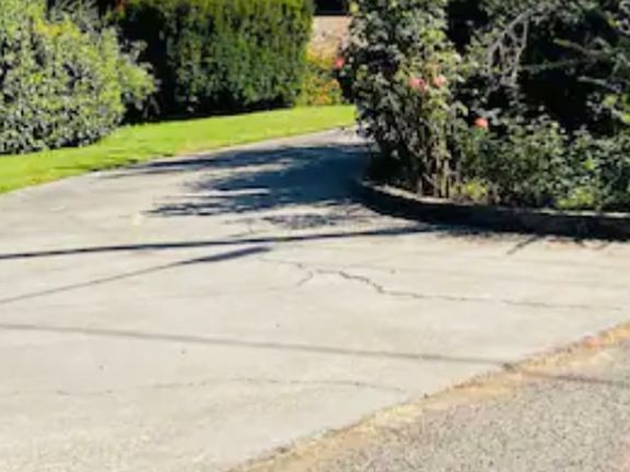 2nd image of 914 Arbutus Ave