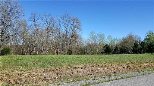 2nd image of 1051 Fort Hl Lot 10