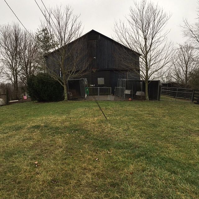 2nd image of 1523 Mays Rd