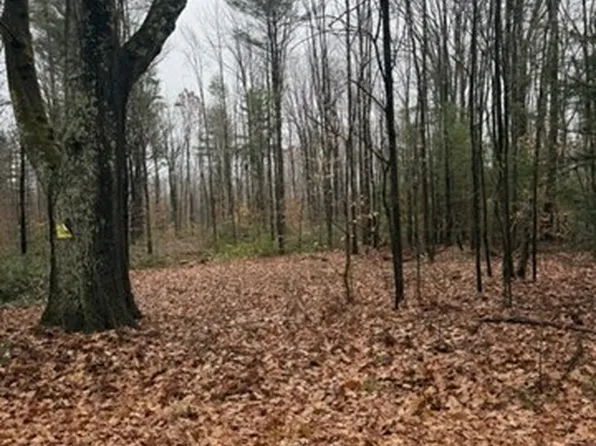 0 Wendell Depot Rd, Wendell, MA 01379