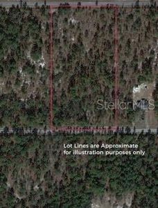 SW Big Bear Rdg Lot 34, Dunnellon, FL, 34431